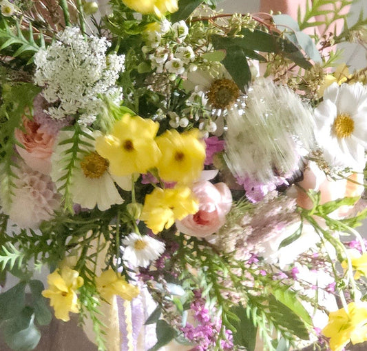 6 months of Blooms
