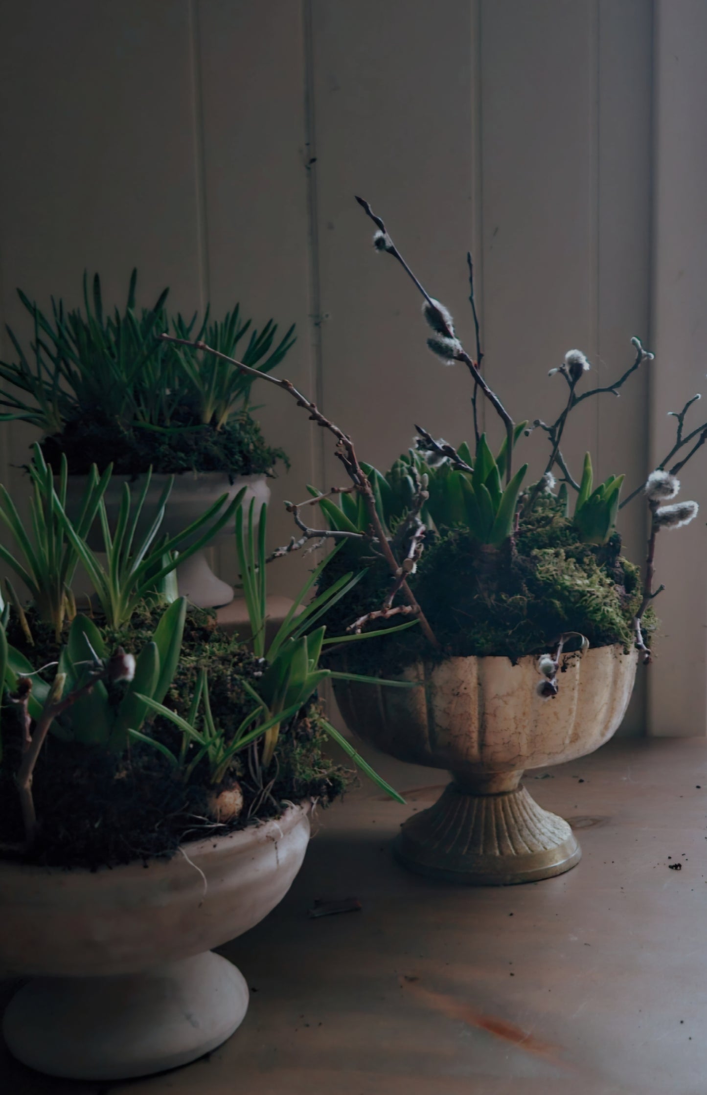 Spring Bulb Centerpiece
