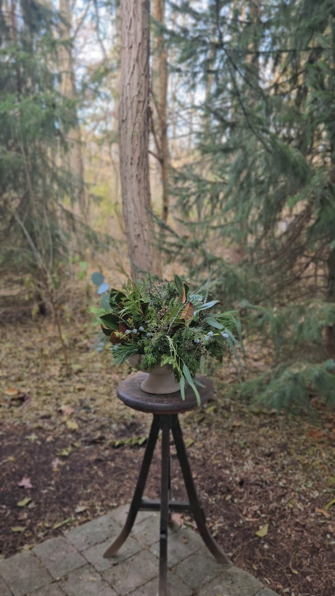 Amaryllis planter       (Delivering Dec. 1 - Dec.23rd)